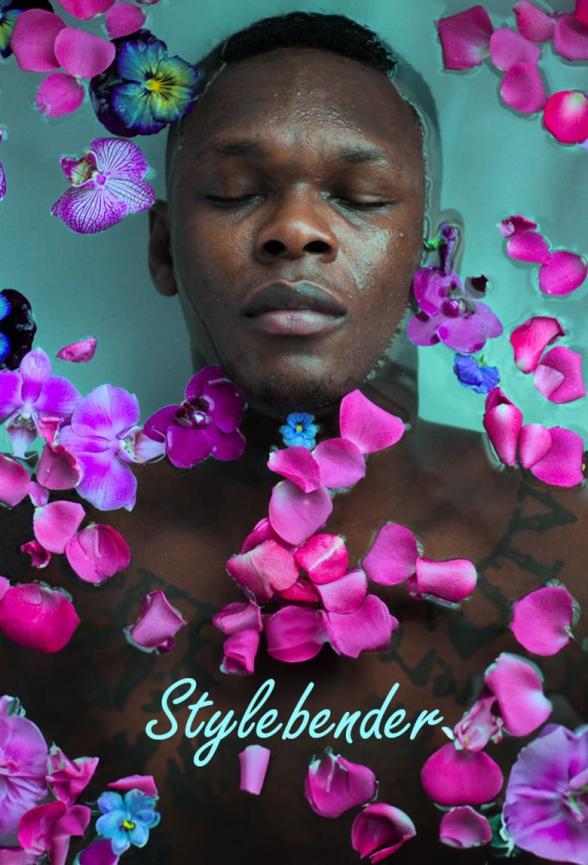 Poster image for Stylebender