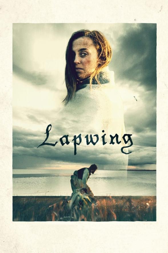 Poster image for LAPWING