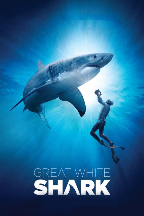 Poster image for GREAT WHITE SHARK