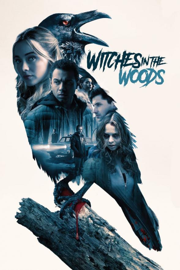 Poster image for WITCHES IN THE WOODS