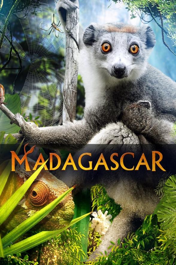 Poster image for MADAGASCAR