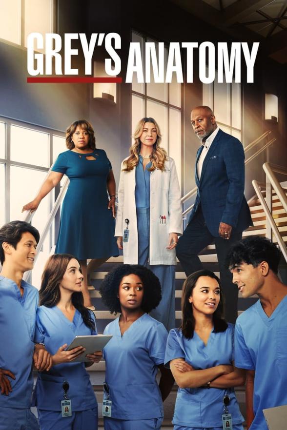 Poster image for GREY'S ANATOMY - SEASON 10