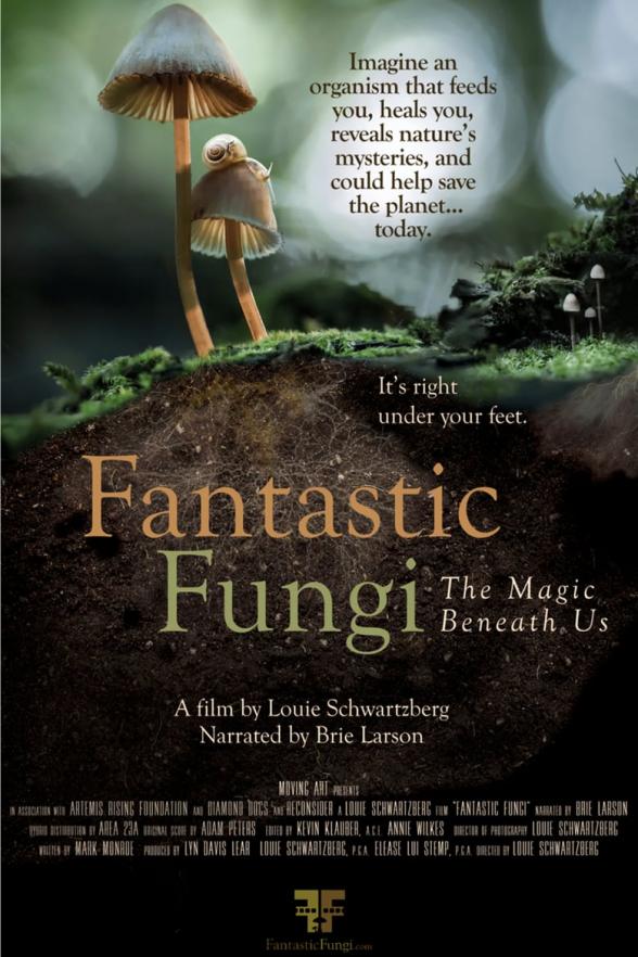 Poster image for FANTASTIC FUNGI: THE MAGIC BENEATH US