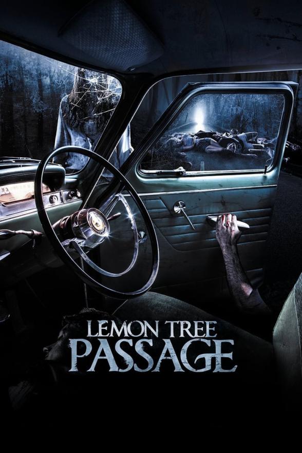 Poster image for LEMON TREE PASSAGE