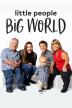 Poster image for Little People, Big World - Season 15