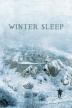 Poster image for WINTER SLEEP