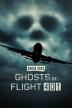 Poster image for Ghost of Flight 401