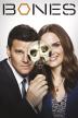 Poster image for BONES SEASON 9