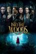 Poster image for INTO THE WOODS