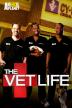 Poster image for The Vet Life - Season 4