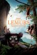 Poster image for ISLAND OF LEMURS: MADAGASCAR